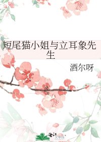 短尾貓小 姐與立耳象先生